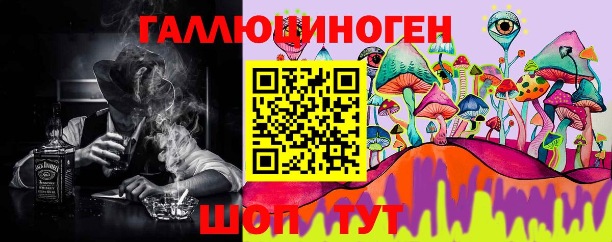 Отрадное  закладка  Вход с VPN  Псилоцибиновые грибы Psilocybe 